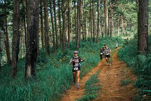 BIB: 
                            <button type="button" onclick="openModal(25747257)" class="btn btn-primary btn-sm float-right btn-popup" data-toggle="modal" data-target=".modal-high-quality">
                        <i class="fas fa-shopping-cart"></i> Add to Cart
                    </button>
                                            <button type="button" onclick="isThisMe(25747257, true)" class="btn btn-success btn-sm float-right btn-popup btn-isme hidden" data-toggle="tooltip" data-placement="bottom" title="นี่คือรูปของคุณใช่ไหม คลิกที่นี่เพื่อเอาเข้าอัลบั้ม">
                        <i class="fas fa-plus"></i> Add to album
                    </button>
                    <button type="button" onclick="isThisMe(25747257, false)" class="btn btn-warning btn-sm float-right btn-popup btn-isnotme hidden">
                        <i class="fas fa-ban"></i> Remove from album
                    </button>